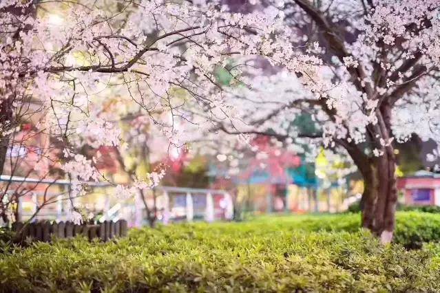 ACTIVATED LIFE ROUTINE